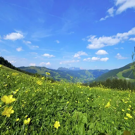 Chalet Modern Chalet With Sauna Near Ski Area In Saalbach Hinterglemm Salzburgerland *